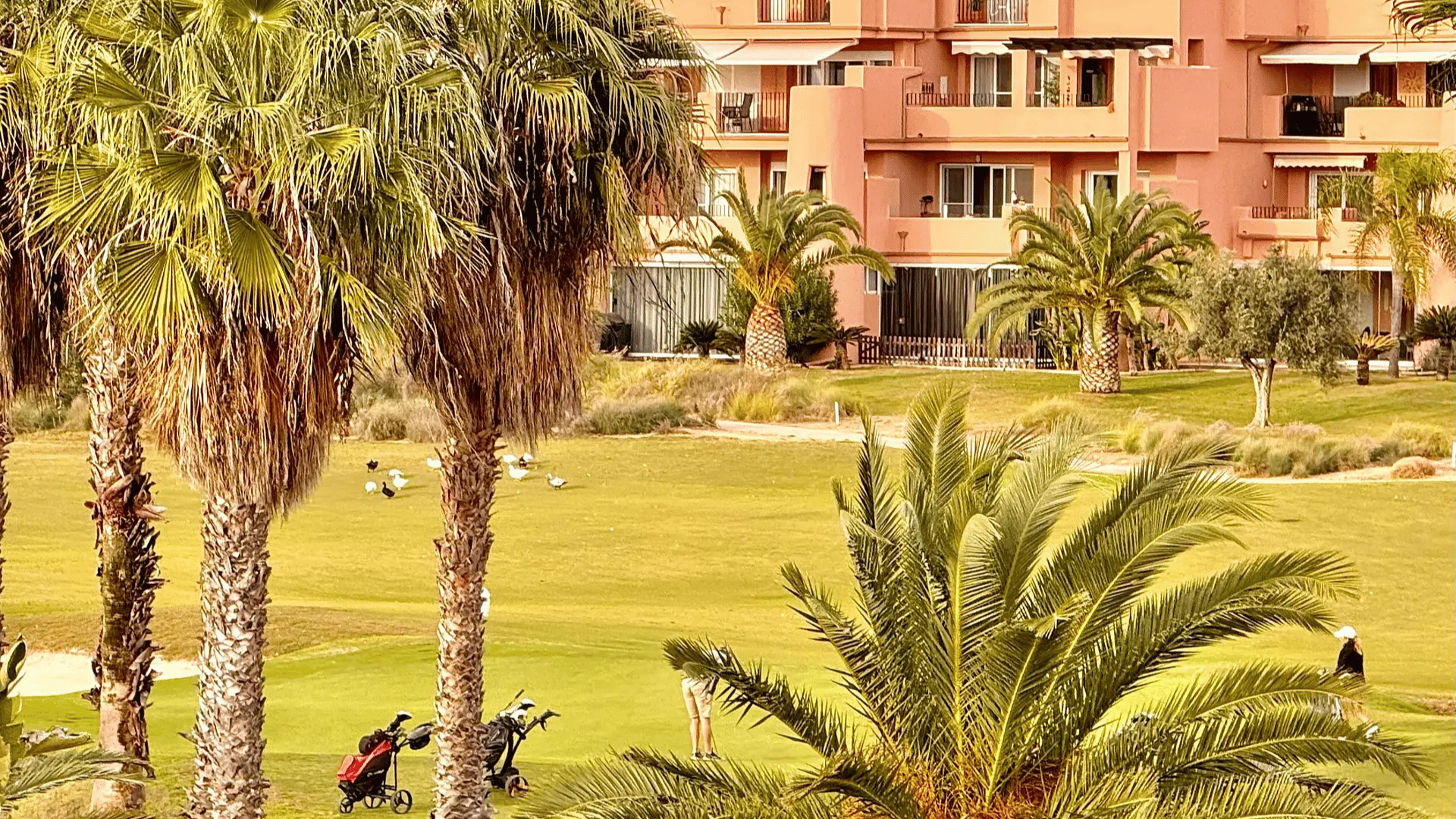 Olympia Fitness Retreat