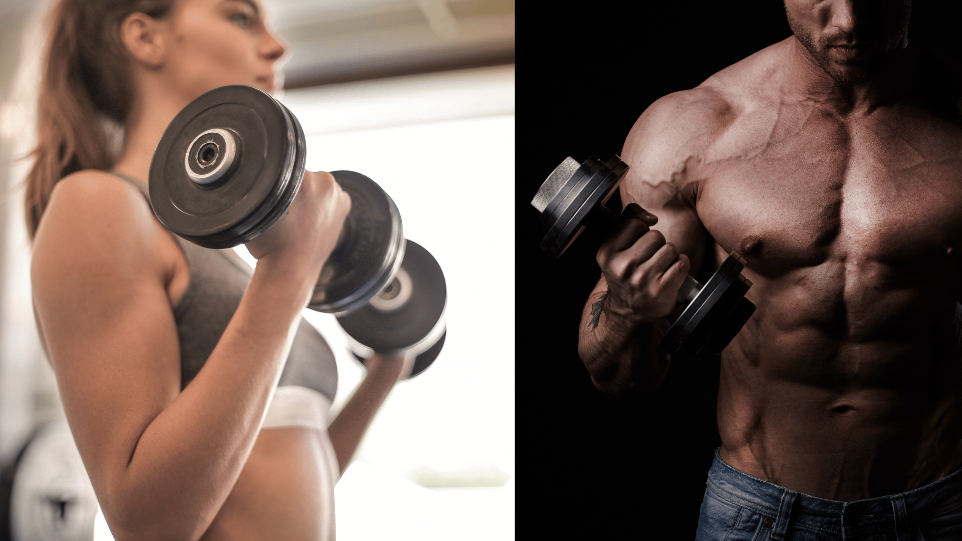 Olympia Fitness Retreat